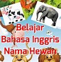 30 Nama Hewan Dalam Bahasa Inggris Dan Artinya